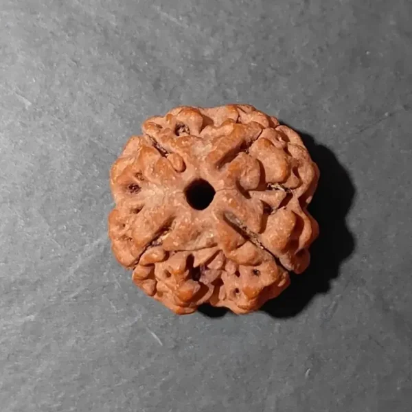 4 Face Nepali